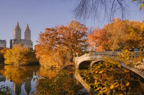 Central Park in autumn