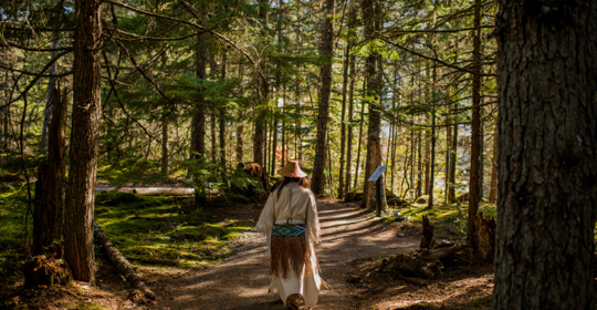 women walking in forest