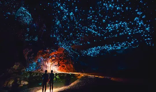 magical glow worm caves