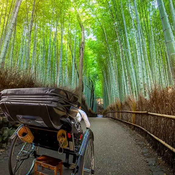 Japan Land Of The Rising Sun Ljapn