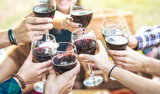 Wine making on Italian Riviera