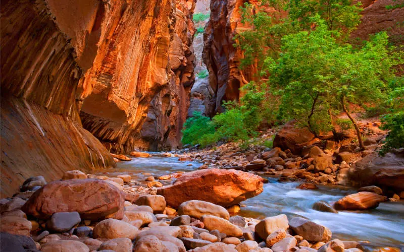 The Narrows hike in the Virgin River of Zion National Park.