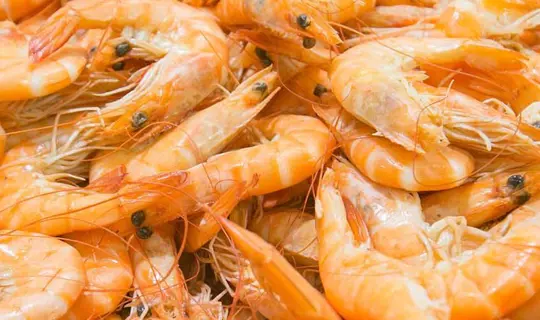 Prawns