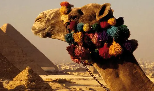 tour Egypt for holiday