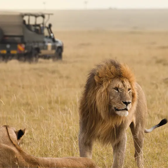 South Africa Favourite Moments 800X500