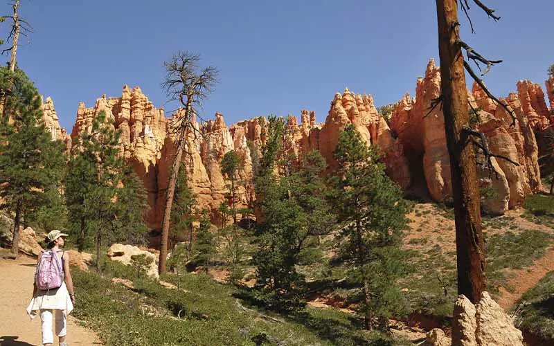 National Park Bryce Canyon, USA