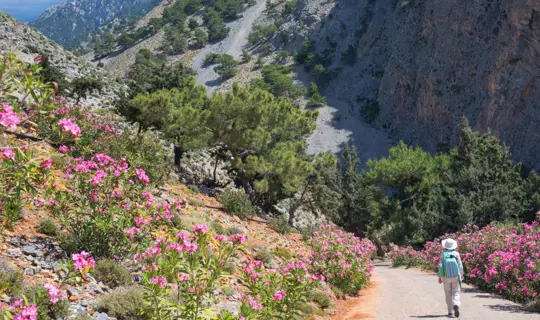Walking in Crete
