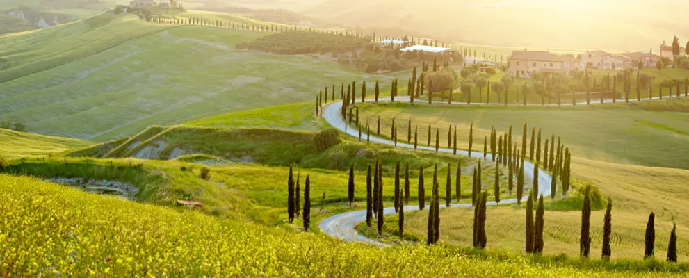 Sunny fields in Tuscany, Italy