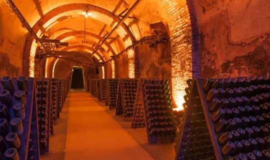 Champagne and Burgundy Region Guide - a Champagne cellar in Reims